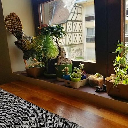 Cosy Apartment By The Magical Marais De Bourges Bagian luar foto