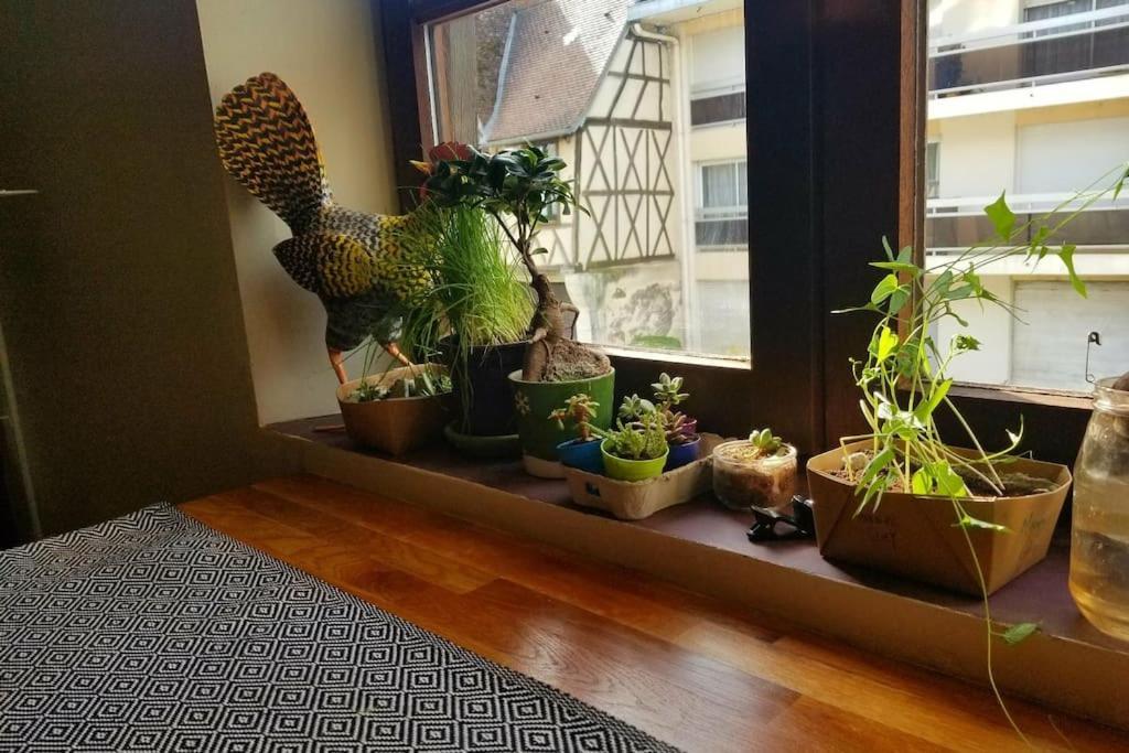 Cosy Apartment By The Magical Marais De Bourges Bagian luar foto